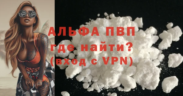стафф Бородино