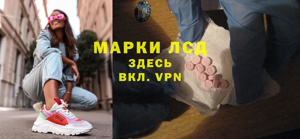 стафф Бородино