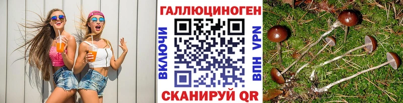 как найти закладки  Северобайкальск  darknet состав  Галлюциногенные грибы MAGIC MUSHROOMS 