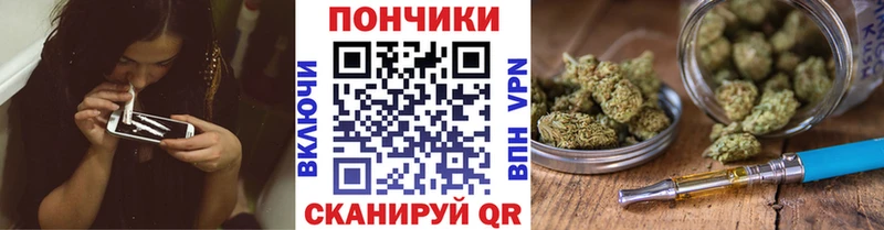 Марихуана план  цена   Северобайкальск 